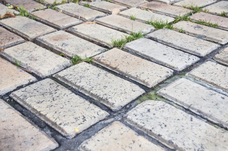 Brick Flatwork Repair in Monroe, WA