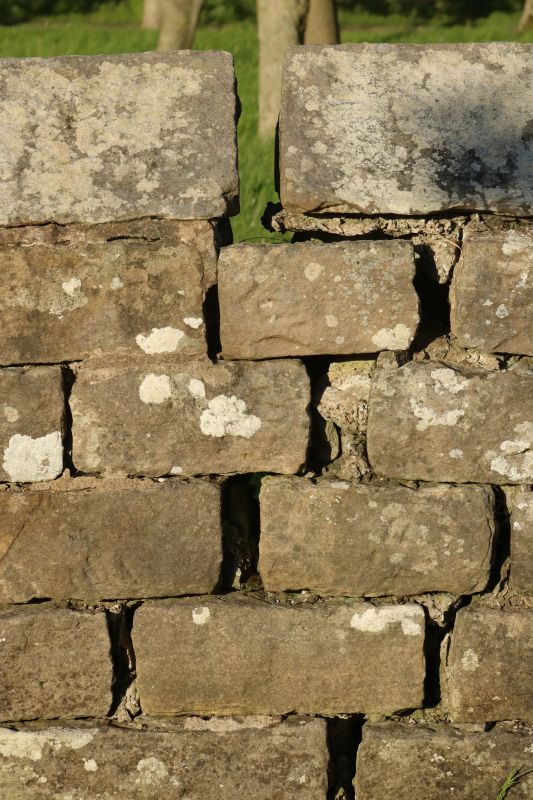 Stone Wall Repair in Mountlake Terrace, WA